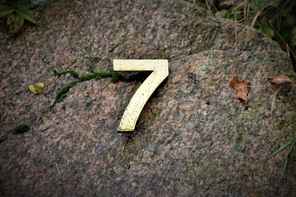 The number seven